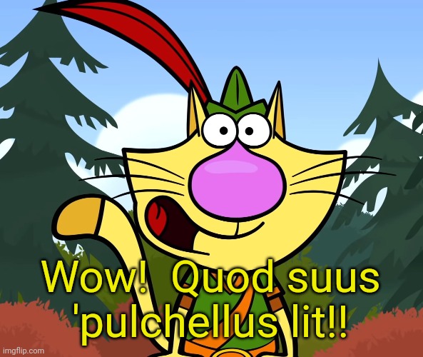 No Way!! (Nature Cat) | Wow!  Quod suus 'pulchellus lit!! | image tagged in no way nature cat | made w/ Imgflip meme maker