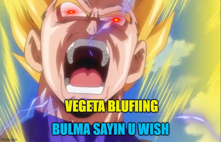 omni anime god | VEGETA BLUFIING; BULMA SAYIN U WISH | image tagged in vegeta rage | made w/ Imgflip meme maker