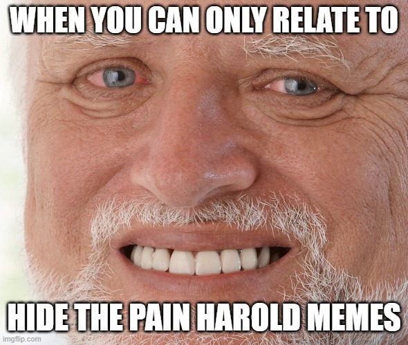 Hide the Pain Harold | WHEN YOU CAN ONLY RELATE TO; HIDE THE PAIN HAROLD MEMES | image tagged in hide the pain harold | made w/ Imgflip meme maker