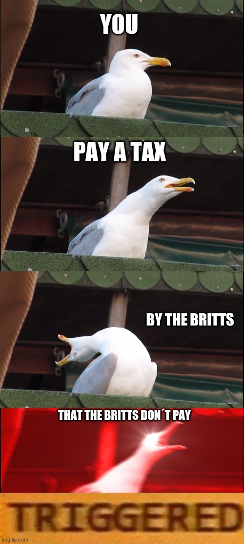 Inhaling Seagull | YOU; PAY A TAX; BY THE BRITTS; THAT THE BRITTS DON´T PAY | image tagged in memes,inhaling seagull,social studies,history,dumb,stupid | made w/ Imgflip meme maker