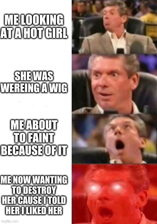 Mr. McMahon reaction | ME LOOKING AT A HOT GIRL; SHE WAS WEREING A WIG; ME ABOUT TO FAINT BECAUSE OF IT; ME NOW WANTING TO DESTROY HER CAUSE I TOLD HER I LIKED HER | image tagged in mr mcmahon reaction | made w/ Imgflip meme maker