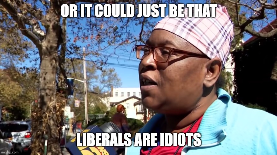 OR IT COULD JUST BE THAT LIBERALS ARE IDIOTS | made w/ Imgflip meme maker
