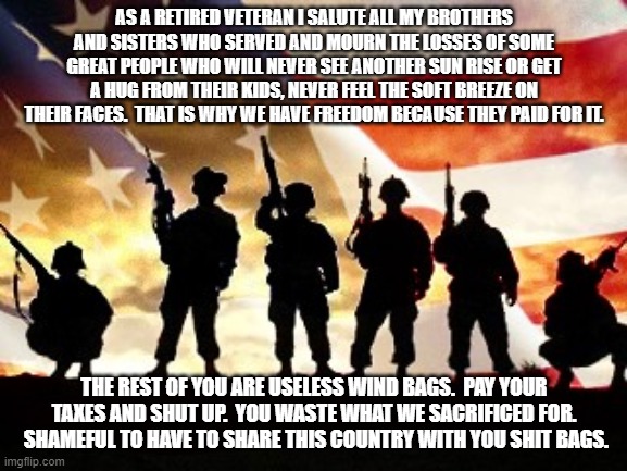 Most of you are useless.  Most of you. | AS A RETIRED VETERAN I SALUTE ALL MY BROTHERS AND SISTERS WHO SERVED AND MOURN THE LOSSES OF SOME GREAT PEOPLE WHO WILL NEVER SEE ANOTHER SUN RISE OR GET A HUG FROM THEIR KIDS, NEVER FEEL THE SOFT BREEZE ON THEIR FACES.  THAT IS WHY WE HAVE FREEDOM BECAUSE THEY PAID FOR IT. THE REST OF YOU ARE USELESS WIND BAGS.  PAY YOUR TAXES AND SHUT UP.  YOU WASTE WHAT WE SACRIFICED FOR.  SHAMEFUL TO HAVE TO SHARE THIS COUNTRY WITH YOU SHIT BAGS. | image tagged in veterans day | made w/ Imgflip meme maker