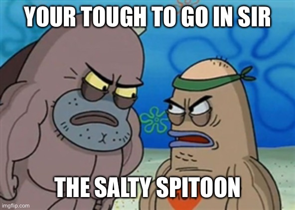 Salty Spitoon | YOUR TOUGH TO GO IN SIR THE SALTY SPITOON | image tagged in salty spitoon | made w/ Imgflip meme maker