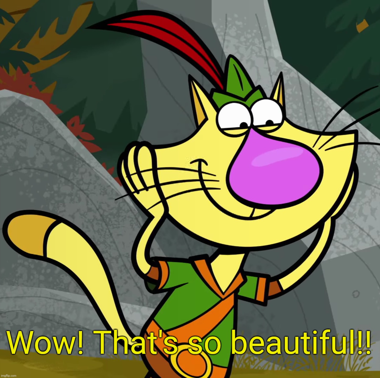 OMG! (Nature Cat) | Wow! That's so beautiful!! | image tagged in omg nature cat | made w/ Imgflip meme maker