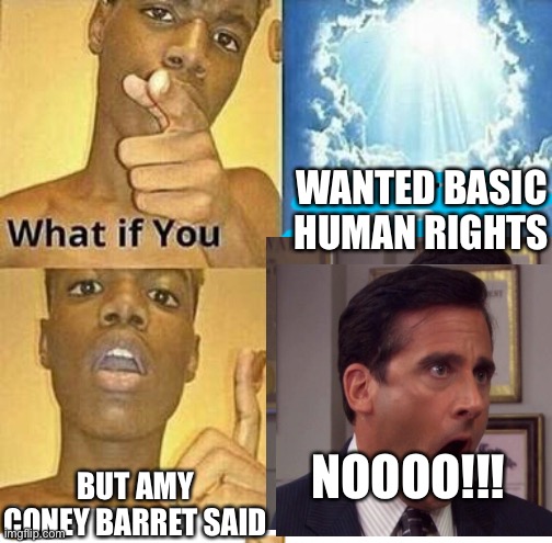 Watch as all the homophobes angrily comment | WANTED BASIC HUMAN RIGHTS; BUT AMY CONEY BARRET SAID; NOOOO!!! | image tagged in haha | made w/ Imgflip meme maker