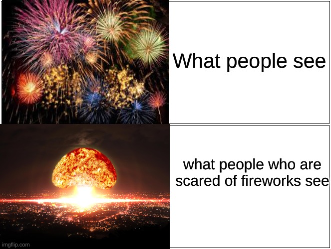 Blank Comic Panel 2x2 | What people see; what people who are scared of fireworks see | image tagged in memes,blank comic panel 2x2 | made w/ Imgflip meme maker