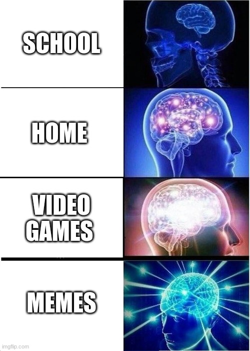 brain | SCHOOL; HOME; VIDEO GAMES; MEMES | image tagged in memes,expanding brain | made w/ Imgflip meme maker