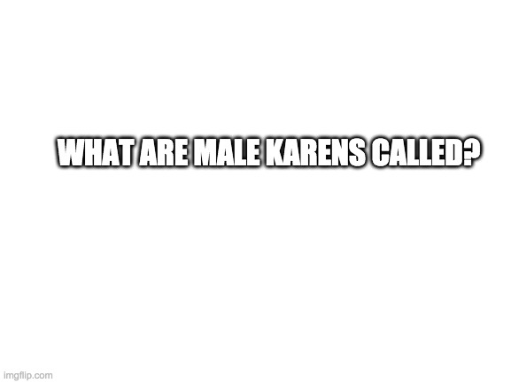 Please answer. | WHAT ARE MALE KARENS CALLED? | image tagged in blank white template,karen,question | made w/ Imgflip meme maker