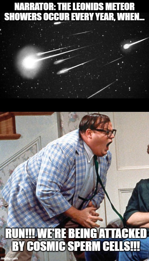 RUN!!! | NARRATOR: THE LEONIDS METEOR SHOWERS OCCUR EVERY YEAR, WHEN... RUN!!! WE'RE BEING ATTACKED BY COSMIC SPERM CELLS!!! | image tagged in chris farley for the love of god,funny,funny memes | made w/ Imgflip meme maker