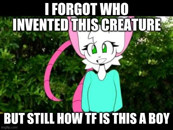 reggie the mouse | I FORGOT WHO INVENTED THIS CREATURE; BUT STILL HOW TF IS THIS A BOY | image tagged in reggie,the,mouse,memes,lol | made w/ Imgflip meme maker