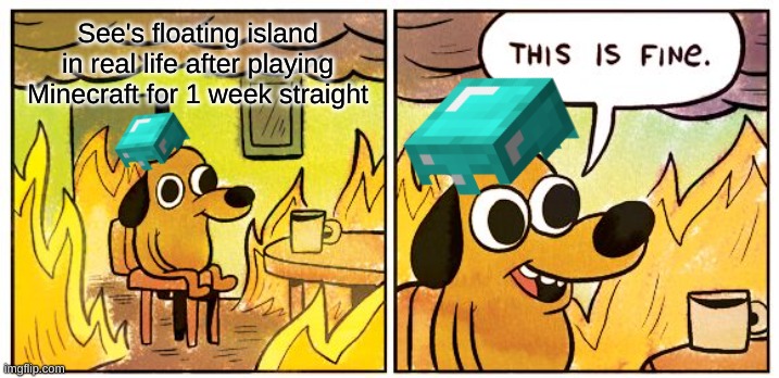 this fine | See's floating island in real life after playing Minecraft for 1 week straight | image tagged in memes,this is fine | made w/ Imgflip meme maker