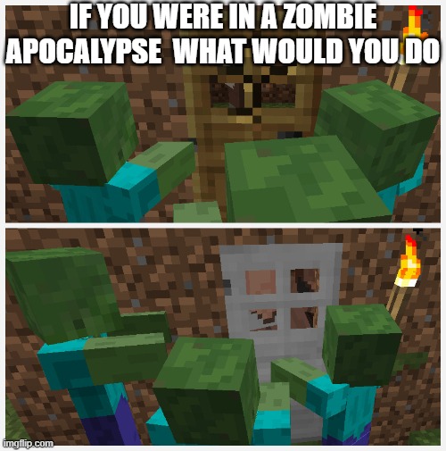 wooden door vs iron door | IF YOU WERE IN A ZOMBIE APOCALYPSE  WHAT WOULD YOU DO | image tagged in wooden door vs iron door | made w/ Imgflip meme maker