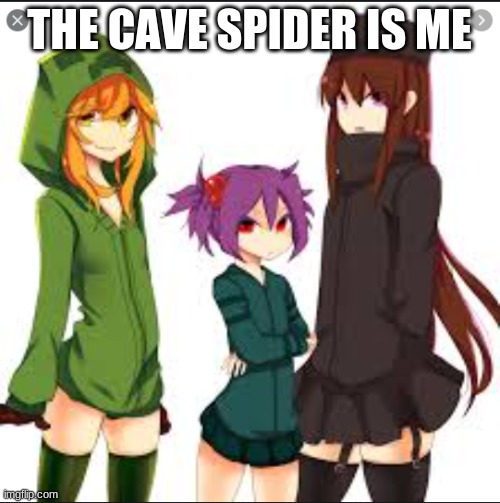 no. | THE CAVE SPIDER IS ME | image tagged in anime mob friends | made w/ Imgflip meme maker