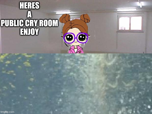 HERES A PUBLIC CRY ROOM

ENJOY | made w/ Imgflip meme maker