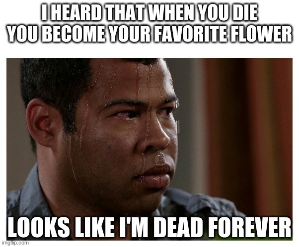 Jordan Peele Sweating | I HEARD THAT WHEN YOU DIE YOU BECOME YOUR FAVORITE FLOWER; LOOKS LIKE I'M DEAD FOREVER | image tagged in jordan peele sweating | made w/ Imgflip meme maker