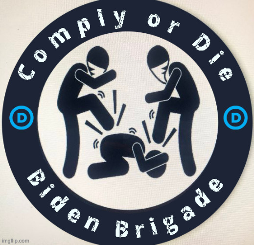 image tagged in meme,funny,happy,biden,democrat,woman | made w/ Imgflip meme maker