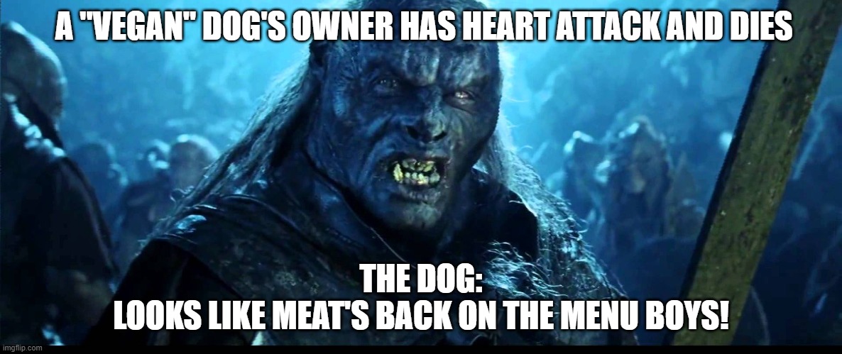 Looks like meat's back on the menu, boys! | A "VEGAN" DOG'S OWNER HAS HEART ATTACK AND DIES; THE DOG:
LOOKS LIKE MEAT'S BACK ON THE MENU BOYS! | image tagged in looks like meat's back on the menu boys | made w/ Imgflip meme maker