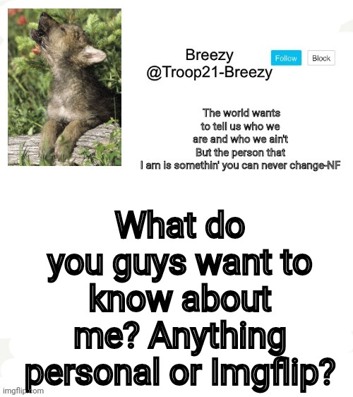 No phone numbers or addresses | What do you guys want to know about me? Anything personal or Imgflip? | image tagged in trooper21-breezy template | made w/ Imgflip meme maker