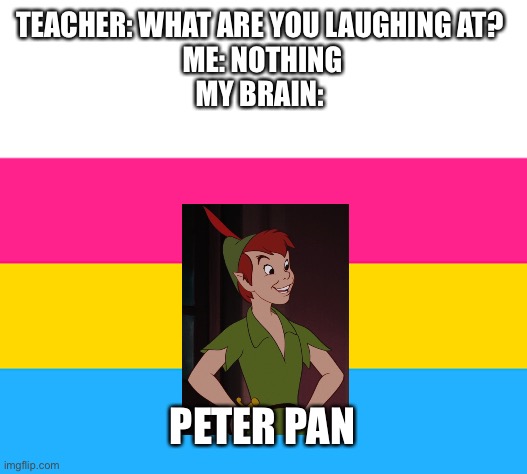 pan flag | TEACHER: WHAT ARE YOU LAUGHING AT? 
ME: NOTHING
MY BRAIN:; PETER PAN | image tagged in pan flag | made w/ Imgflip meme maker