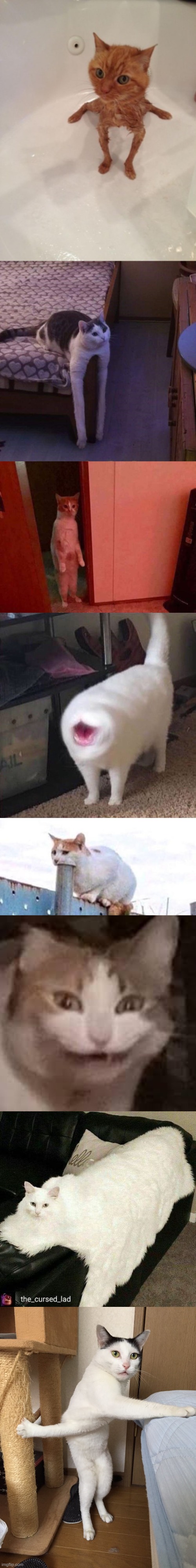 C U R S E D | made w/ Imgflip meme maker