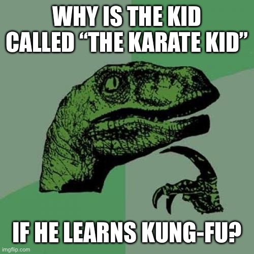 Kung-fu Kid |  WHY IS THE KID CALLED “THE KARATE KID”; IF HE LEARNS KUNG-FU? | image tagged in memes,philosoraptor,kung fu,karate kid,dinosaur | made w/ Imgflip meme maker