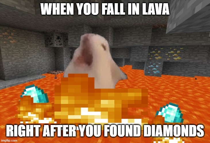 finding diamonds then falling in lava | WHEN YOU FALL IN LAVA; RIGHT AFTER YOU FOUND DIAMONDS | image tagged in minecraft,lava,diamonds,diamond,screaming cat,nuclearpowerbolt | made w/ Imgflip meme maker