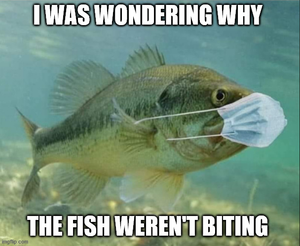 I WAS WONDERING WHY; THE FISH WEREN'T BITING | image tagged in fish mask,fish not biting | made w/ Imgflip meme maker