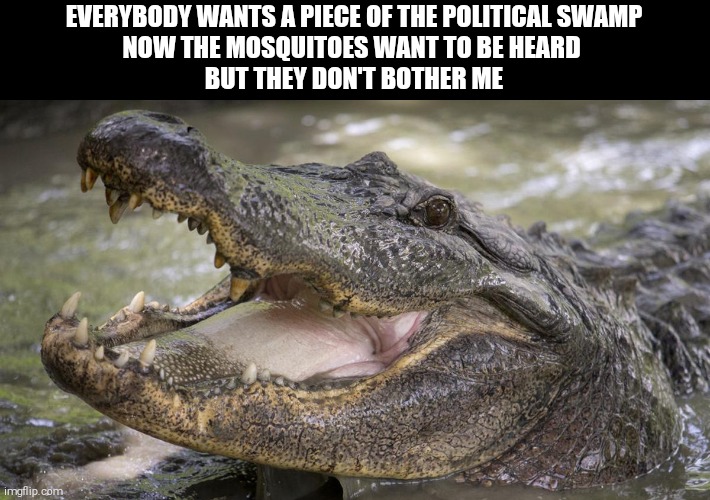 The political swamp | EVERYBODY WANTS A PIECE OF THE POLITICAL SWAMP
NOW THE MOSQUITOES WANT TO BE HEARD 
BUT THEY DON'T BOTHER ME | image tagged in swamp,politics | made w/ Imgflip meme maker