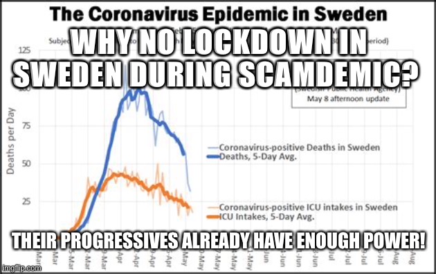 Sweden doesn’t need lockdown to seize power | WHY NO LOCKDOWN IN SWEDEN DURING SCAMDEMIC? THEIR PROGRESSIVES ALREADY HAVE ENOUGH POWER! | image tagged in covid19,lockdown | made w/ Imgflip meme maker