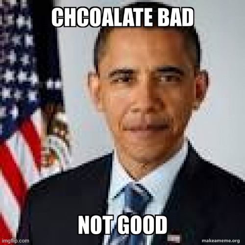 Obama the bad chocolate has disobeyed trump so he is bad now and needs to be taken to the trash can | image tagged in trash,trash can,obama,chocolate | made w/ Imgflip meme maker