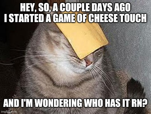 Cats with cheese | HEY, SO, A COUPLE DAYS AGO I STARTED A GAME OF CHEESE TOUCH; AND I'M WONDERING WHO HAS IT RN? | image tagged in cats with cheese,cheese touch | made w/ Imgflip meme maker