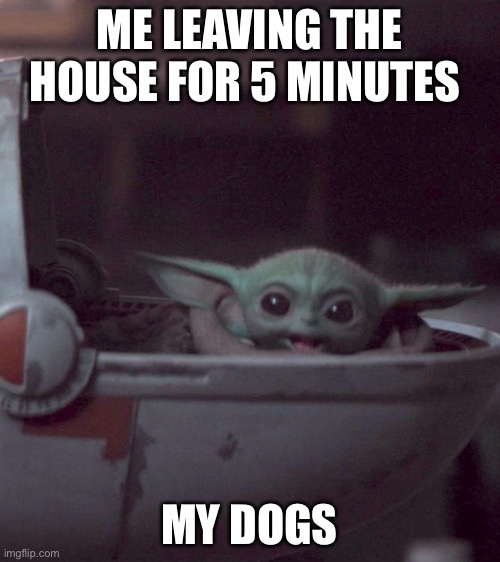 Dogs ? | ME LEAVING THE HOUSE FOR 5 MINUTES; MY DOGS | image tagged in woman screaming at baby yoda | made w/ Imgflip meme maker