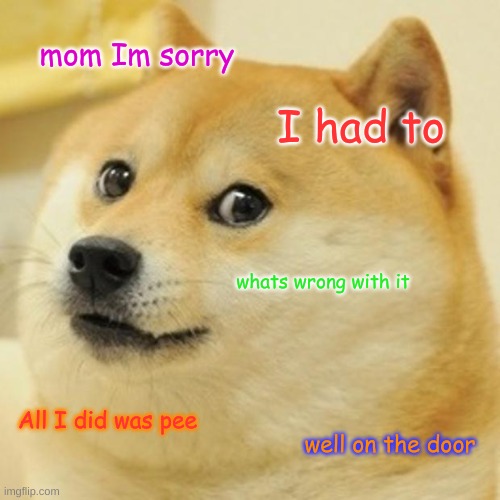 Doge | mom Im sorry; I had to; whats wrong with it; All I did was pee; well on the door | image tagged in memes,doge | made w/ Imgflip meme maker