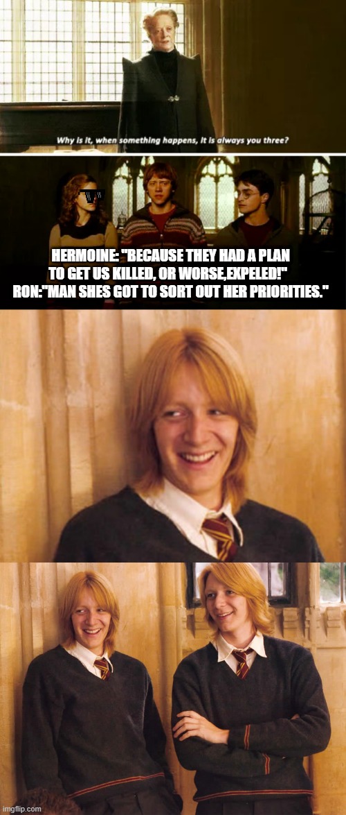 HERMOINE: "BECAUSE THEY HAD A PLAN TO GET US KILLED, OR WORSE,EXPELED!"   RON:"MAN SHES GOT TO SORT OUT HER PRIORITIES." | image tagged in always you three,fred and george weasley laughing | made w/ Imgflip meme maker