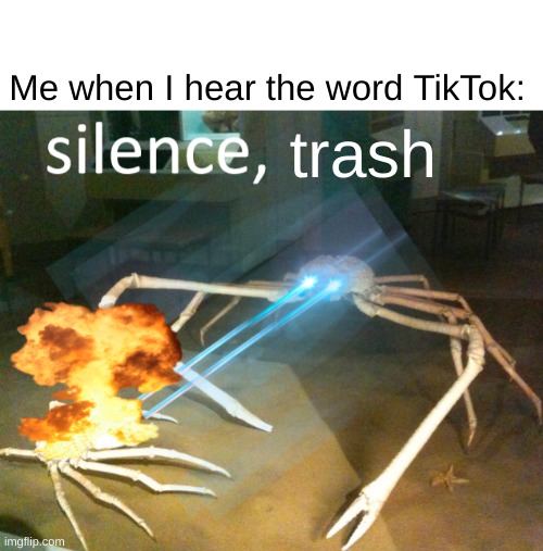 Lets make TikTok a swearword lmao. | Me when I hear the word TikTok:; trash | image tagged in silence crab,tik tok trash,funny,memes | made w/ Imgflip meme maker