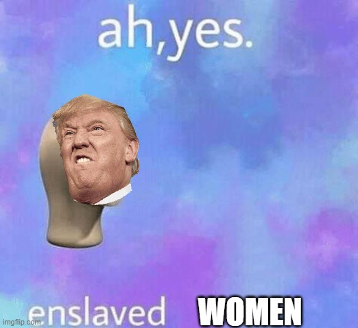 Ah yes enslaved women | WOMEN | image tagged in ah yes enslaved | made w/ Imgflip meme maker