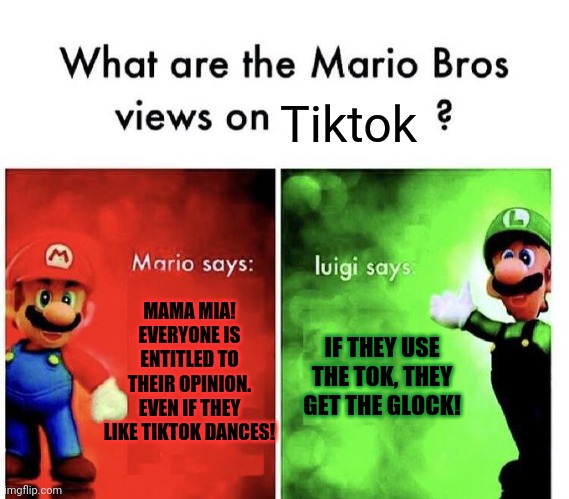 Luigi hates tiktok | Tiktok; MAMA MIA! EVERYONE IS ENTITLED TO THEIR OPINION. EVEN IF THEY LIKE TIKTOK DANCES! IF THEY USE THE TOK, THEY GET THE GLOCK! | image tagged in mario bros views,tik tok,luigi | made w/ Imgflip meme maker