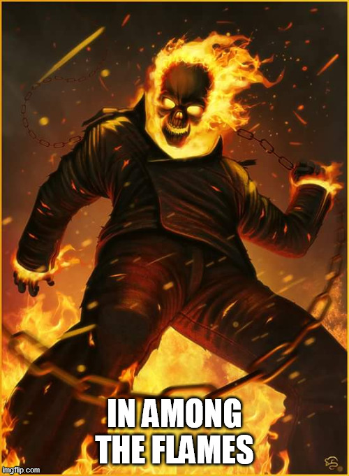 FREEFORALL6 is cayde6 | IN AMONG THE FLAMES | image tagged in cayde-6,just ban | made w/ Imgflip meme maker