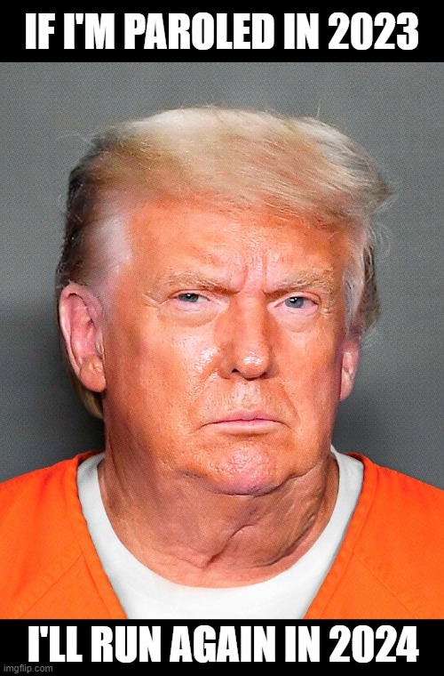 Trump  2024! | IF I'M PAROLED IN 2023; I'LL RUN AGAIN IN 2024 | image tagged in donald trump,prison,parole | made w/ Imgflip meme maker