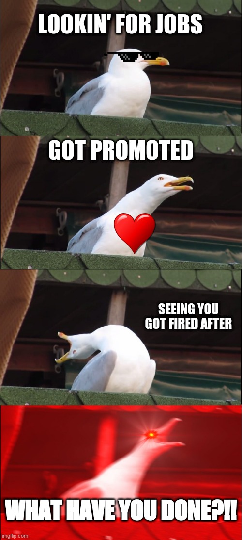 Inhaling Seagull | LOOKIN' FOR JOBS; GOT PROMOTED; SEEING YOU GOT FIRED AFTER; WHAT HAVE YOU DONE?!! | image tagged in memes,inhaling seagull | made w/ Imgflip meme maker