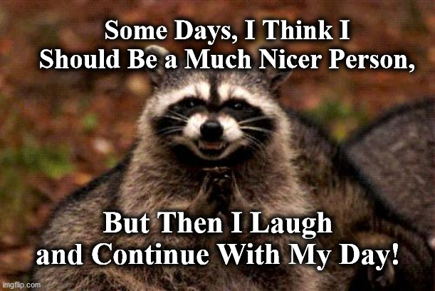 Evil Plotting Raccoon Meme | Some Days, I Think I Should Be a Much Nicer Person, But Then I Laugh and Continue With My Day! | image tagged in memes,evil plotting raccoon | made w/ Imgflip meme maker