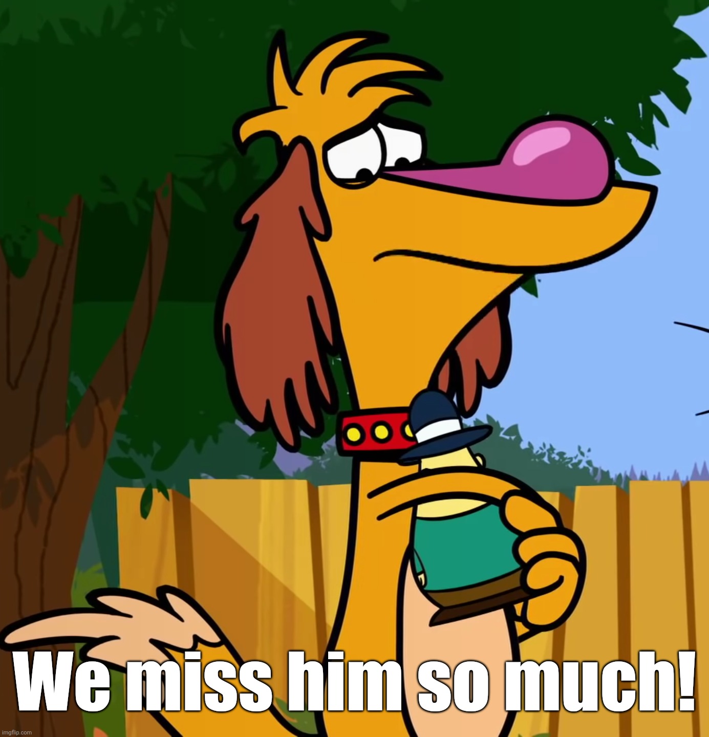 Lovely Hal (Nature Cat) | We miss him so much! | image tagged in lovely hal nature cat | made w/ Imgflip meme maker