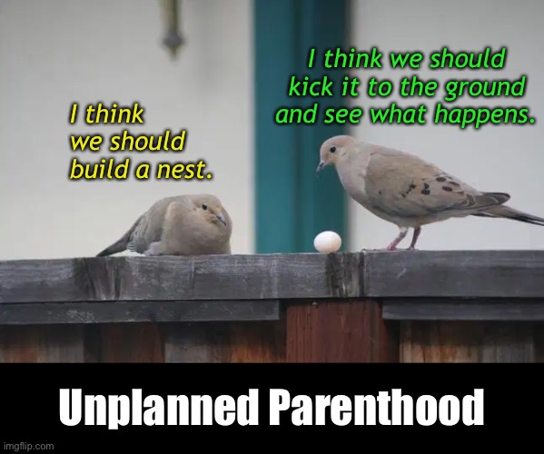 Newlywed Doves On the Fence | image tagged in funny memes,dark humor,pro-life,pro-choice | made w/ Imgflip meme maker