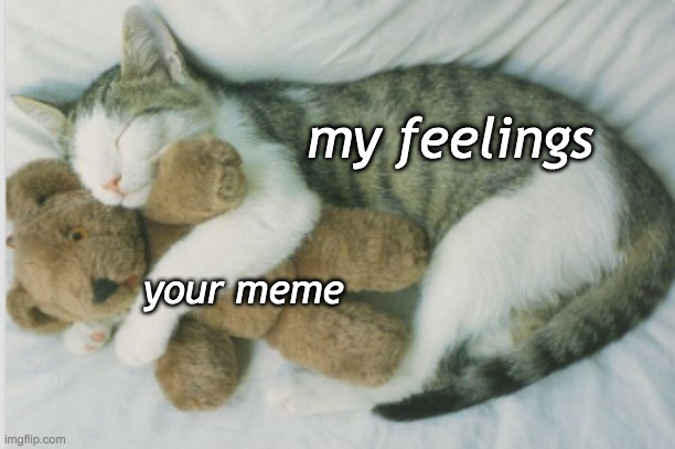 Cuddling Cat | your meme my feelings | image tagged in cats,cute,sleep | made w/ Imgflip meme maker