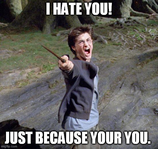 Harry potter | I HATE YOU! JUST BECAUSE YOUR YOU. | image tagged in harry potter | made w/ Imgflip meme maker