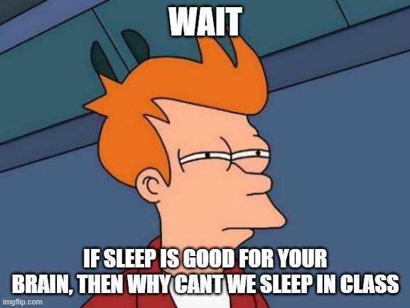 Futurama Fry Meme | WAIT; IF SLEEP IS GOOD FOR YOUR BRAIN, THEN WHY CANT WE SLEEP IN CLASS | image tagged in memes,futurama fry | made w/ Imgflip meme maker