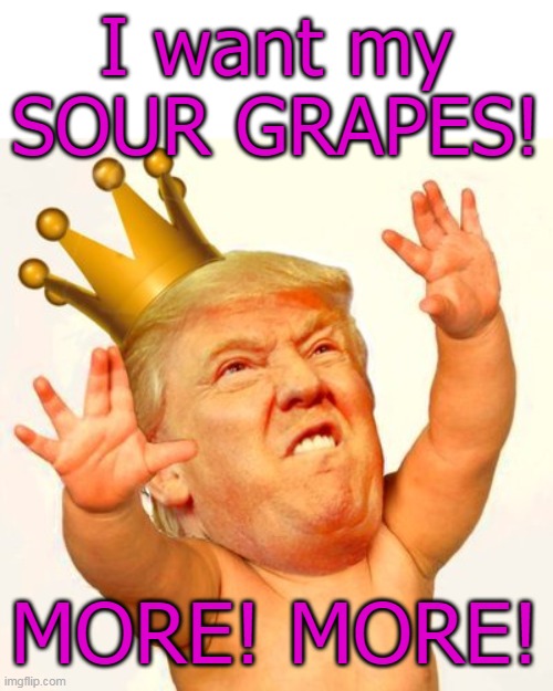 LOSER! | I want my
SOUR GRAPES! MORE! MORE! | image tagged in trump baby w/ crown,trump,sour,grapes,loser | made w/ Imgflip meme maker