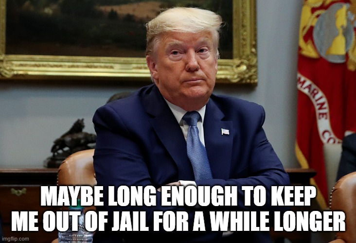 Trump shrug arms folded eyes dilated | MAYBE LONG ENOUGH TO KEEP ME OUT OF JAIL FOR A WHILE LONGER | image tagged in trump shrug arms folded eyes dilated | made w/ Imgflip meme maker