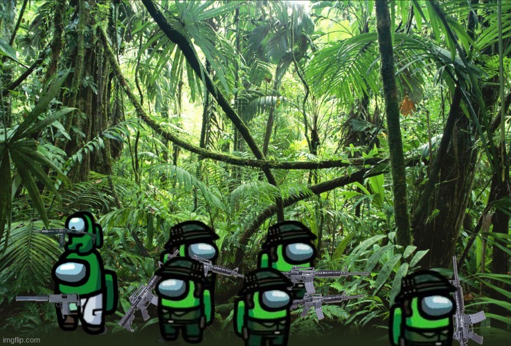 this isnt walgreens its a tik tok forest | image tagged in jungle | made w/ Imgflip meme maker